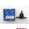 PIVOT BRAT FATA ACCENT MC